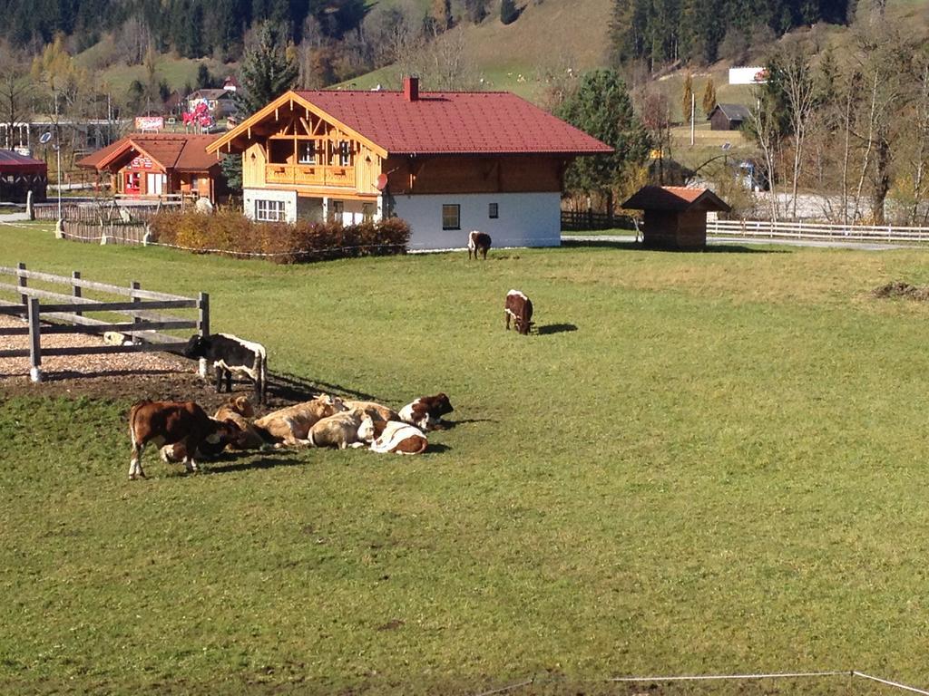 Heisshof 3* Schladming
