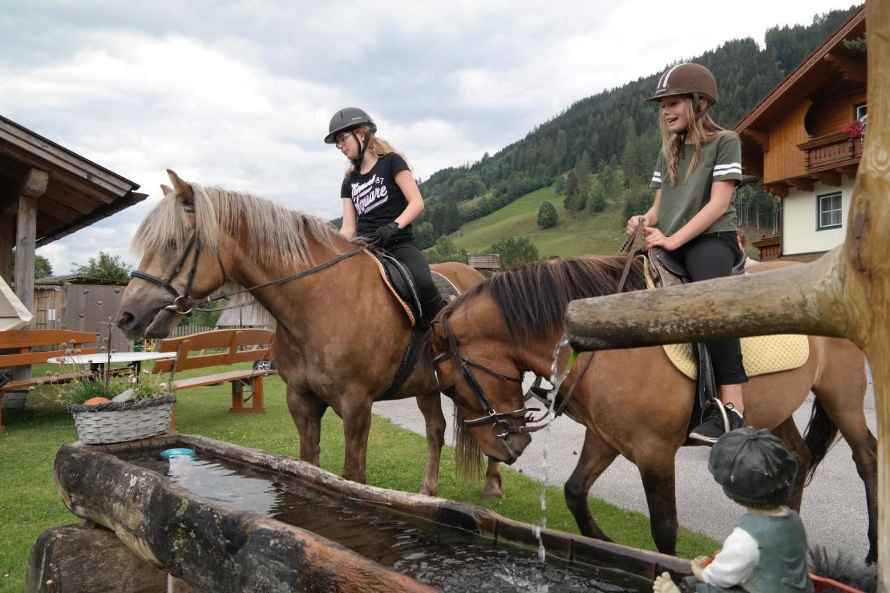 Heisshof Schladming